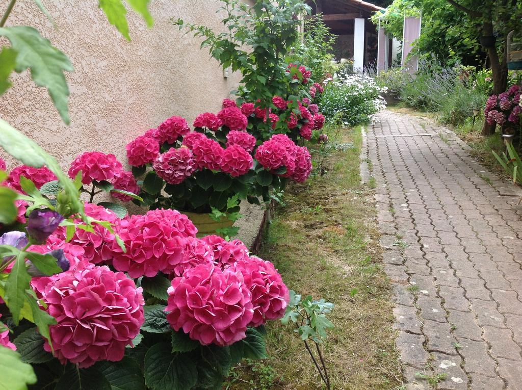 Bed & Breakfast Le Beausejour Carcassonne Bagian luar foto