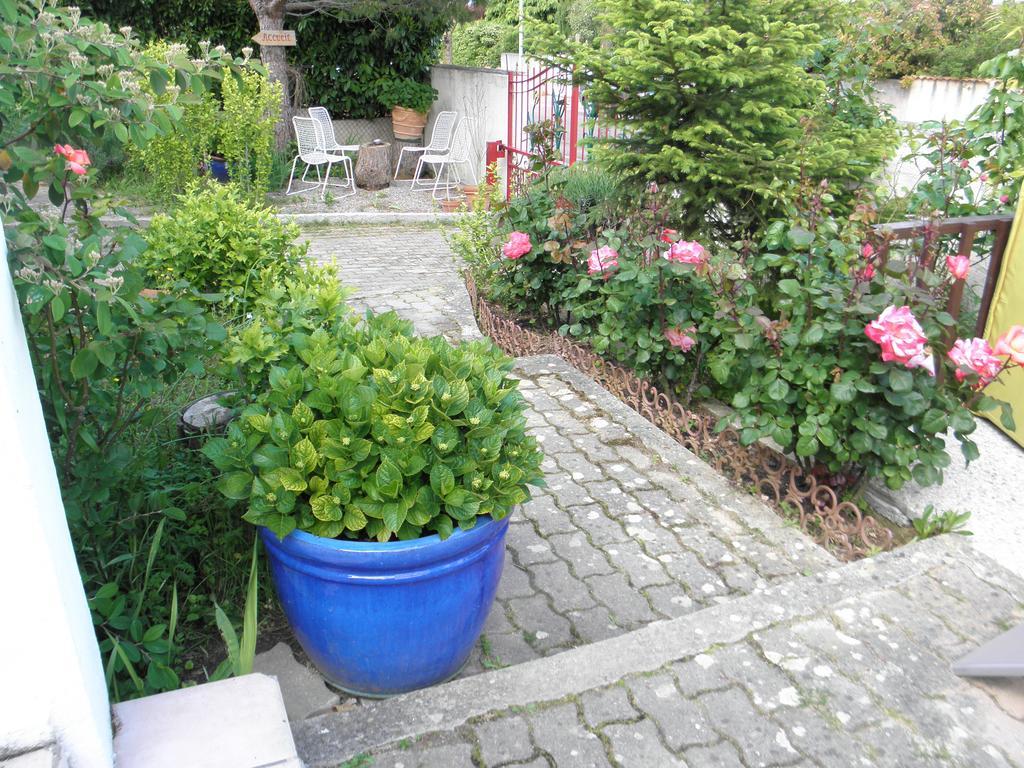 Bed & Breakfast Le Beausejour Carcassonne Bagian luar foto